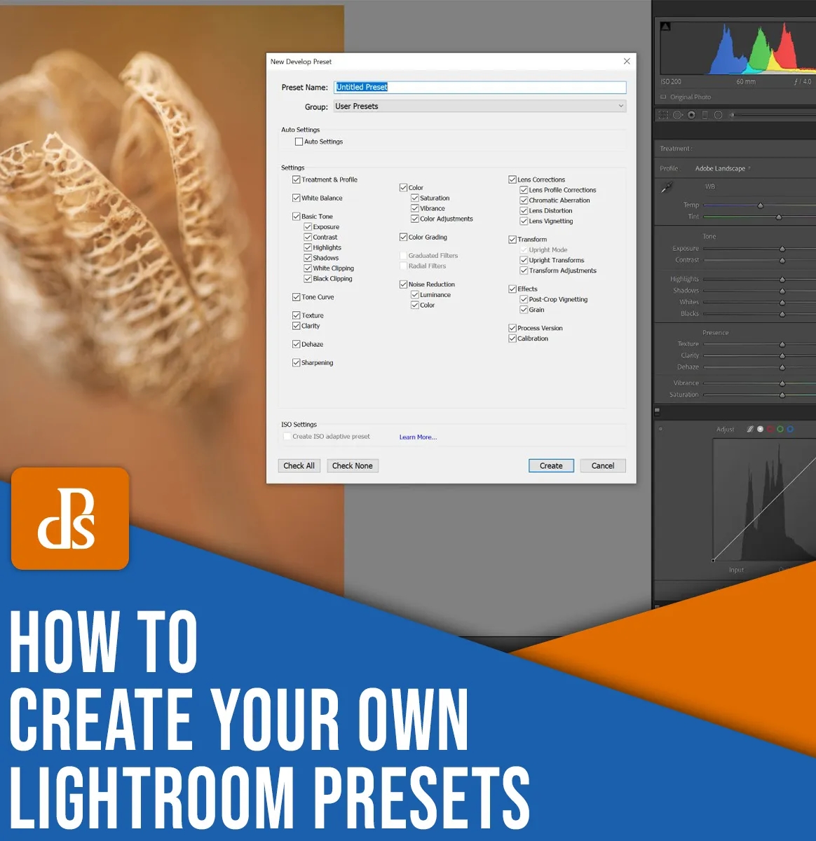 Step-by-Step Guide to Creating Custom Lightroom Presets