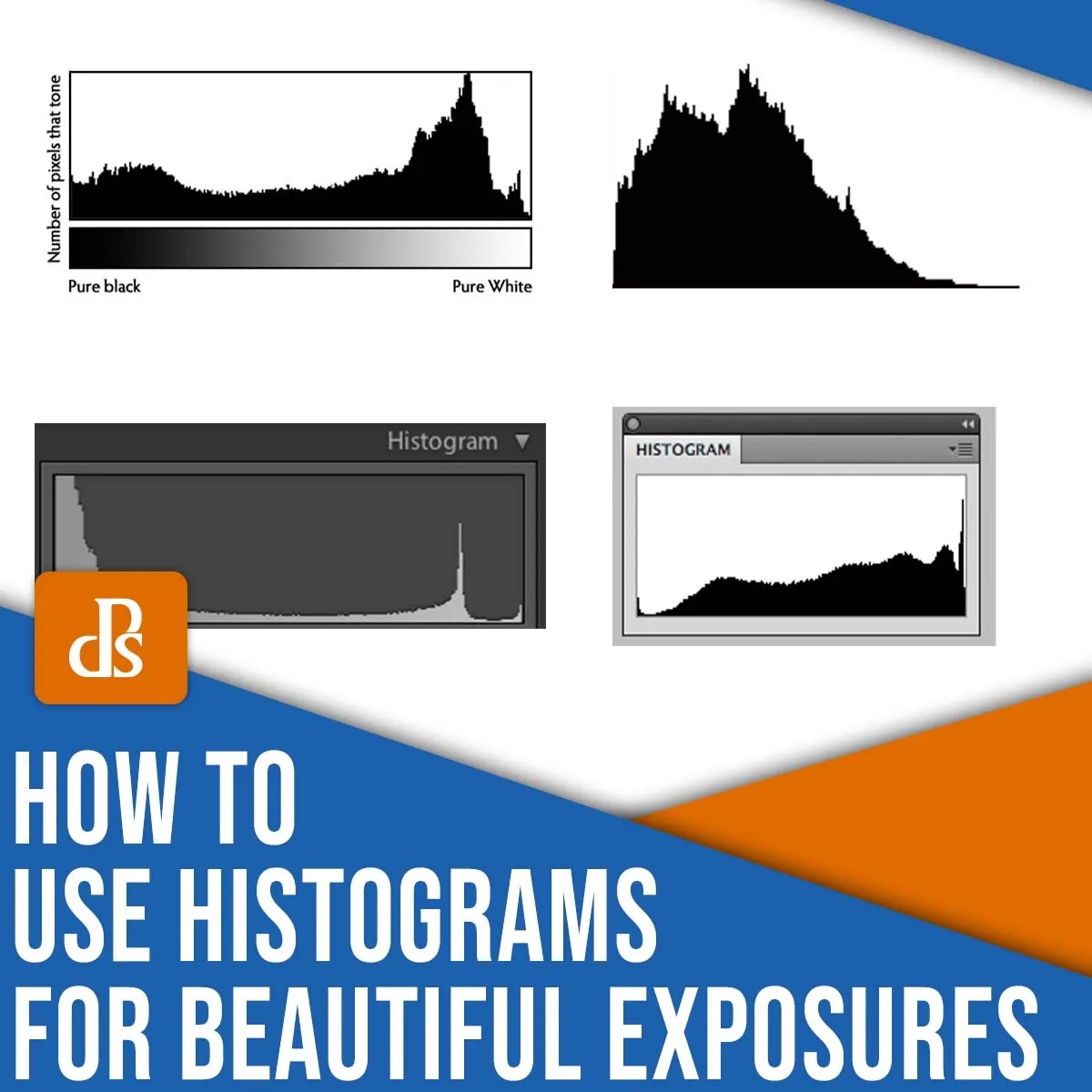 Mastering Histograms: How to Read and Use Them for Perfect Exposures