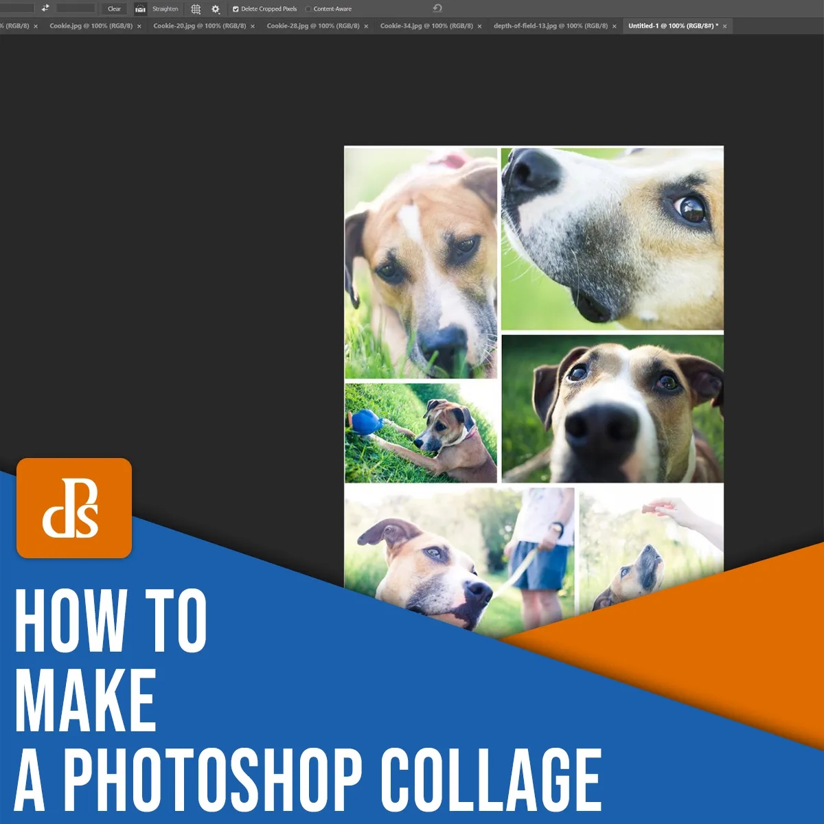 9 Simple Steps to Create a Collage in Photoshop