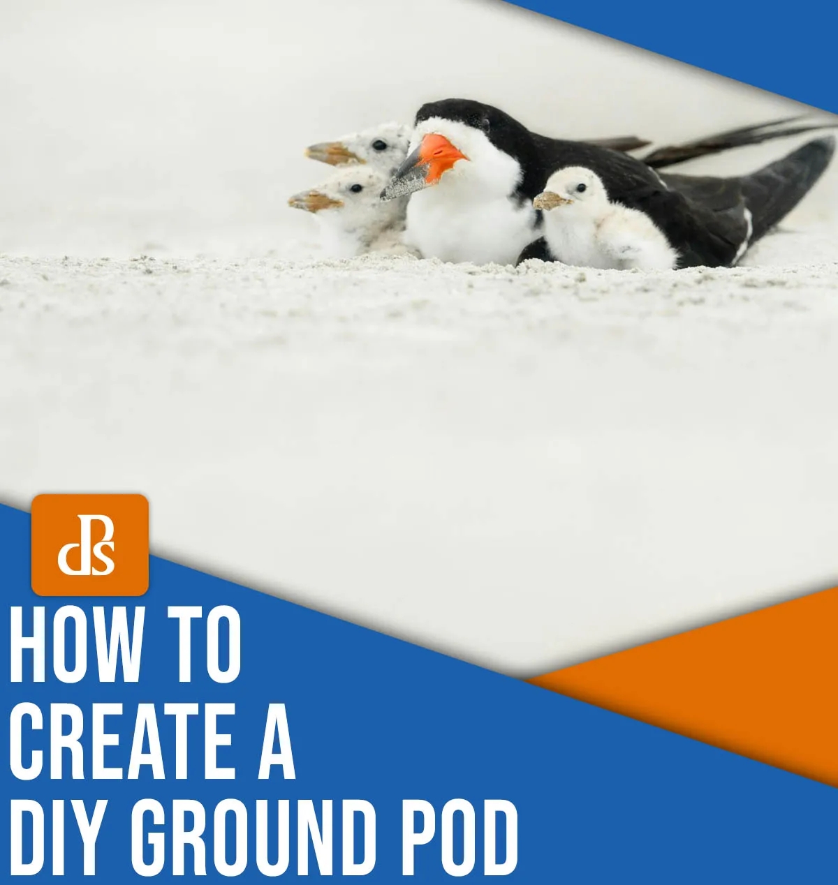 Creating a DIY Ground Pod for Low-Angle Wildlife Photography: A Step-by-Step Guide