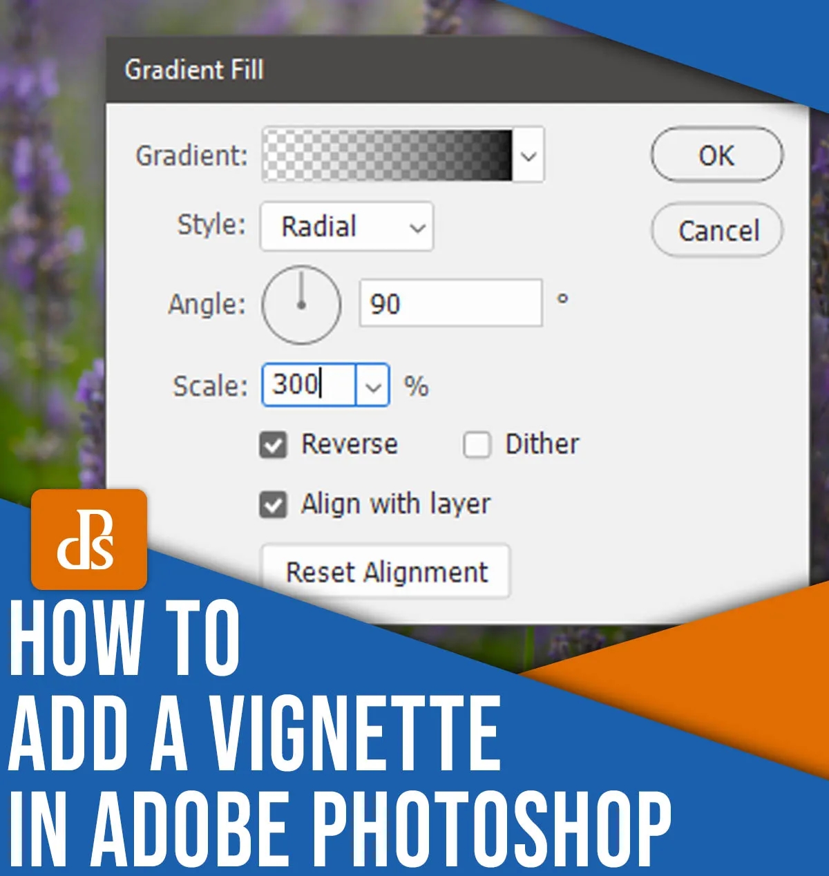 A Quick Guide to Creating a Vignette in Photoshop