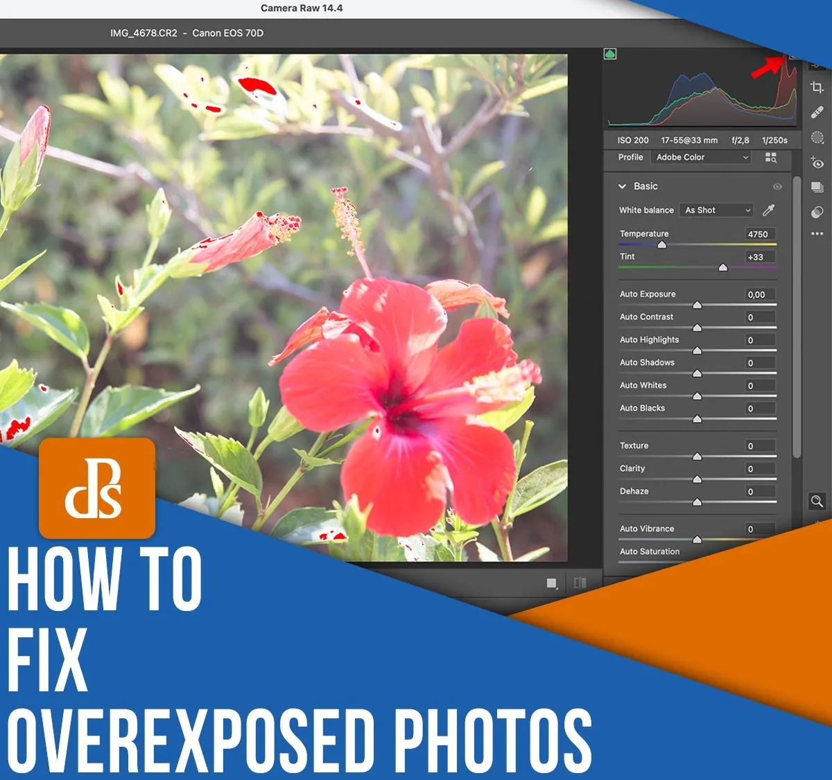 A Comprehensive Guide to Correcting Overexposed Photos